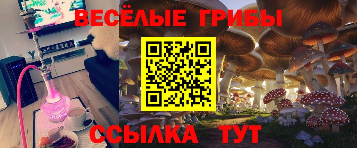 Галлюциногенные грибы Psilocybine cubensis  Вход с VPN  купить наркоту  Гусиноозёрск 