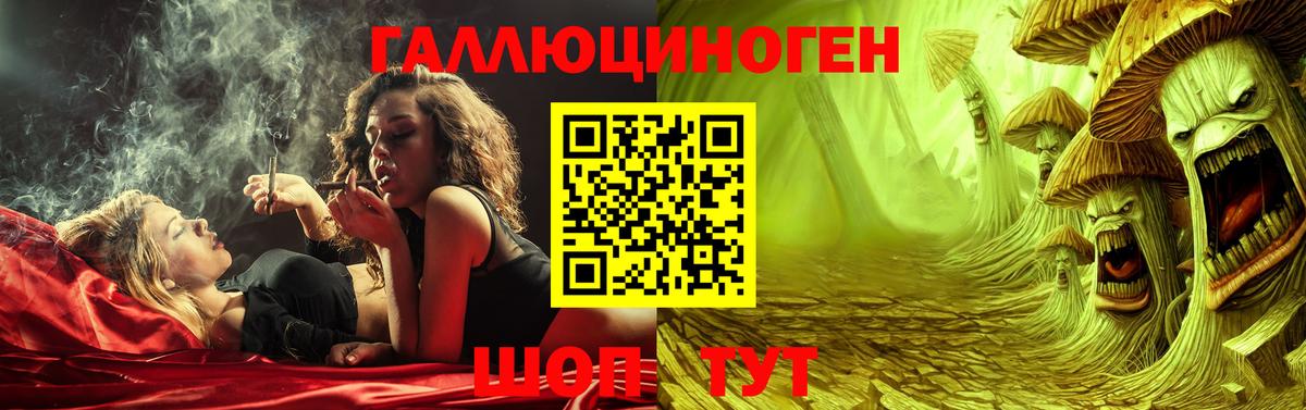 Галлюциногенные грибы мухоморы Гусиноозёрск